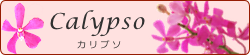 banner_calypso