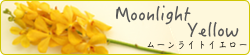 banner_moonlightyellow